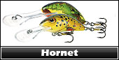 Hornet