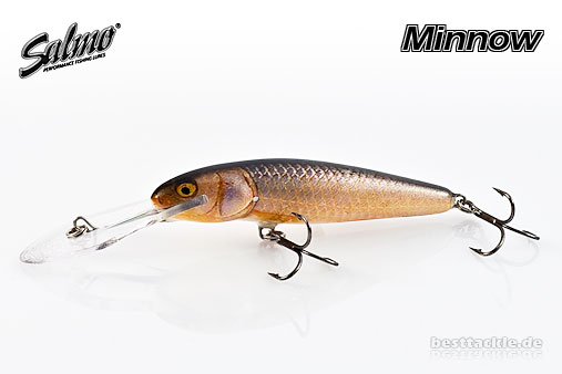 Minnow 7SDR RR