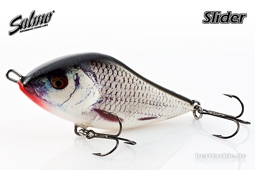 Slider 10S RGS