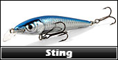 Sting